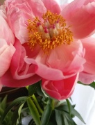 Nuotr. Aida Vėželienė